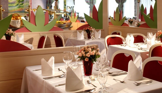4*Conference Partner Hotel Frankenland - Германия Отели