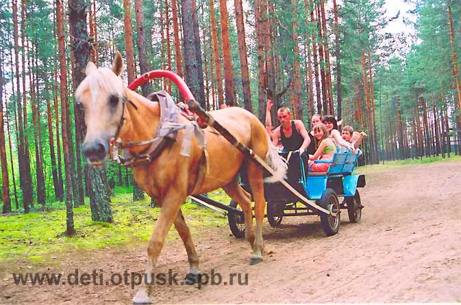 Меридиан/ДОЛ - Россия Отели