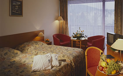 4*Thermal - Чехия Отели