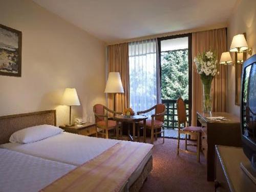 4*Danubius Health SPA Resort Sarvar - Венгрия Отели